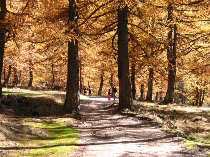 Il tempo di metà ottobre: tra scampoli di sole e messaggi d’autunno