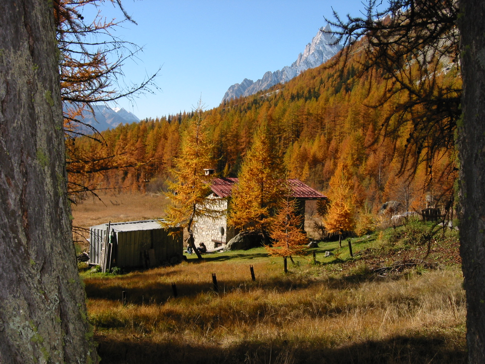 Ritorna l’alta pressione dal 4 novembre, ma poi… Ritorna l’alta pressione dal 4 novembre, ma poi…