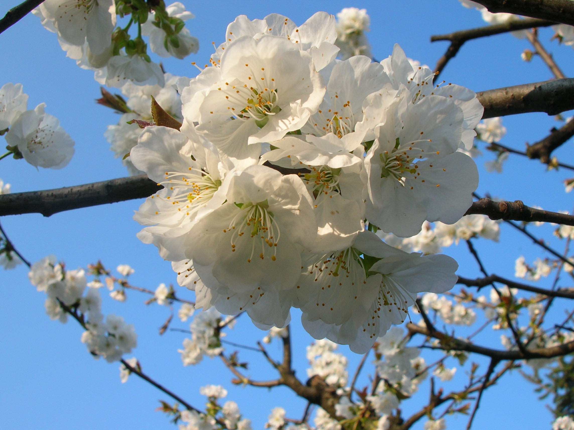 Fine settimana con qualche ACQUAZZONE, ma non mancheranno le occasioni per stare all’aperto