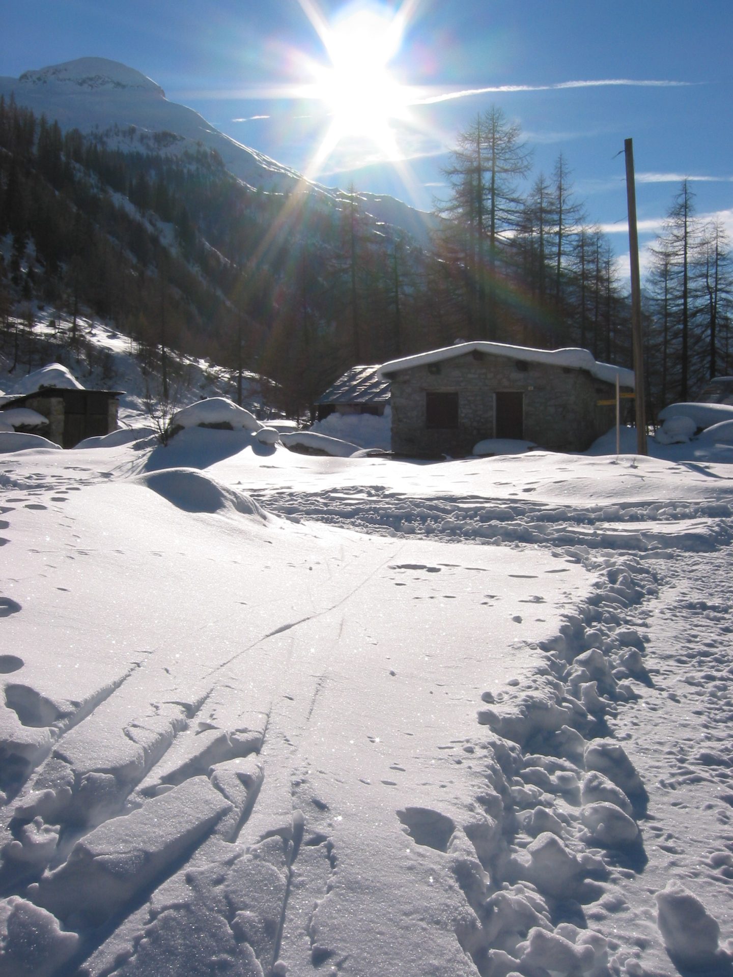 Le prospettive per FEBBRAIO: l’inverno tenterà il RISCATTO? Ecco gli ultimi aggiornamenti Le prospettive per FEBBRAIO: l’inverno tenterà il RISCATTO? Ecco gli ultimi aggiornamenti