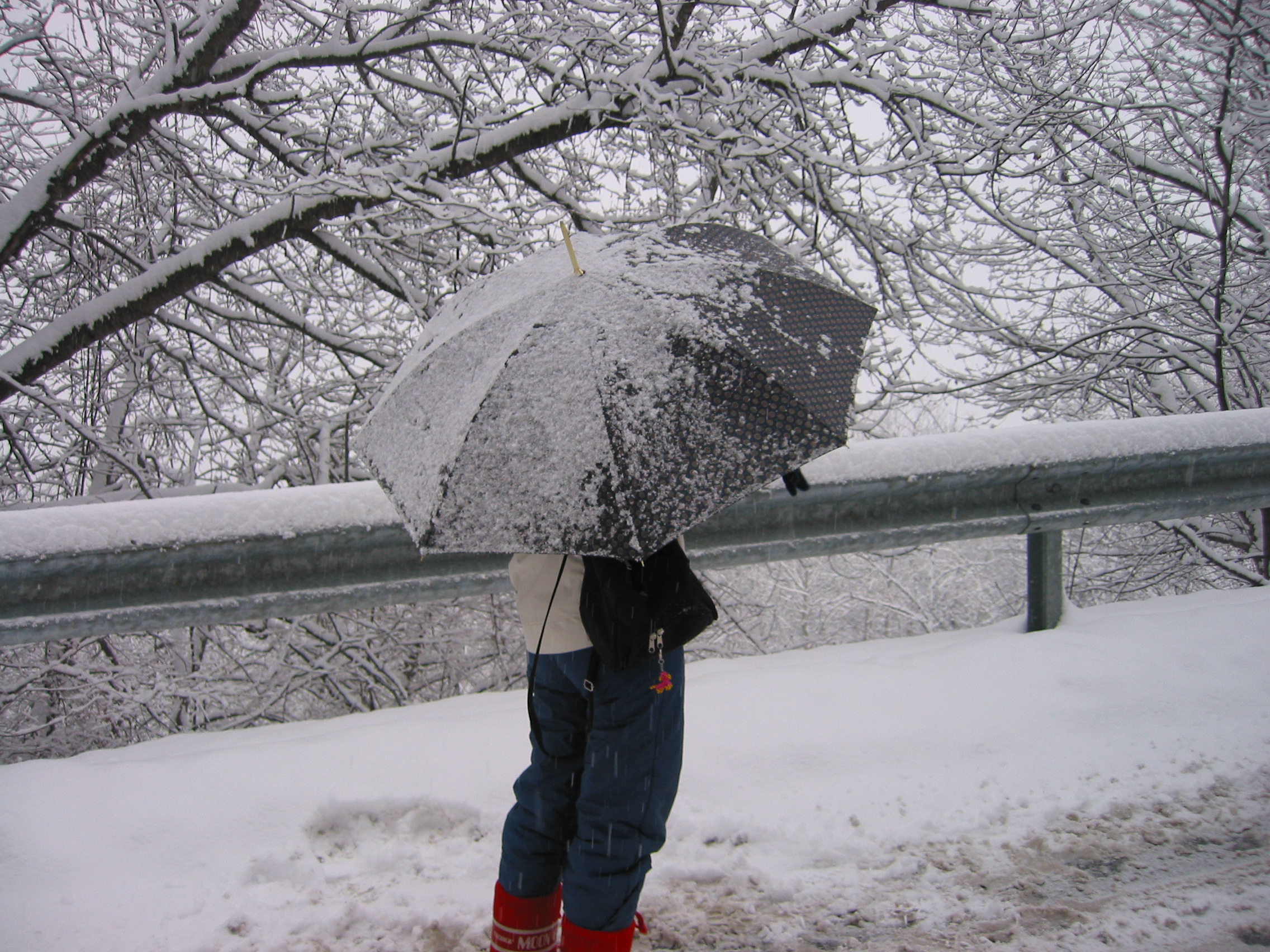 MALTEMPO in Italia: NEVE a quote basse, grandinate e venti fortissimi, gli aggiornamenti