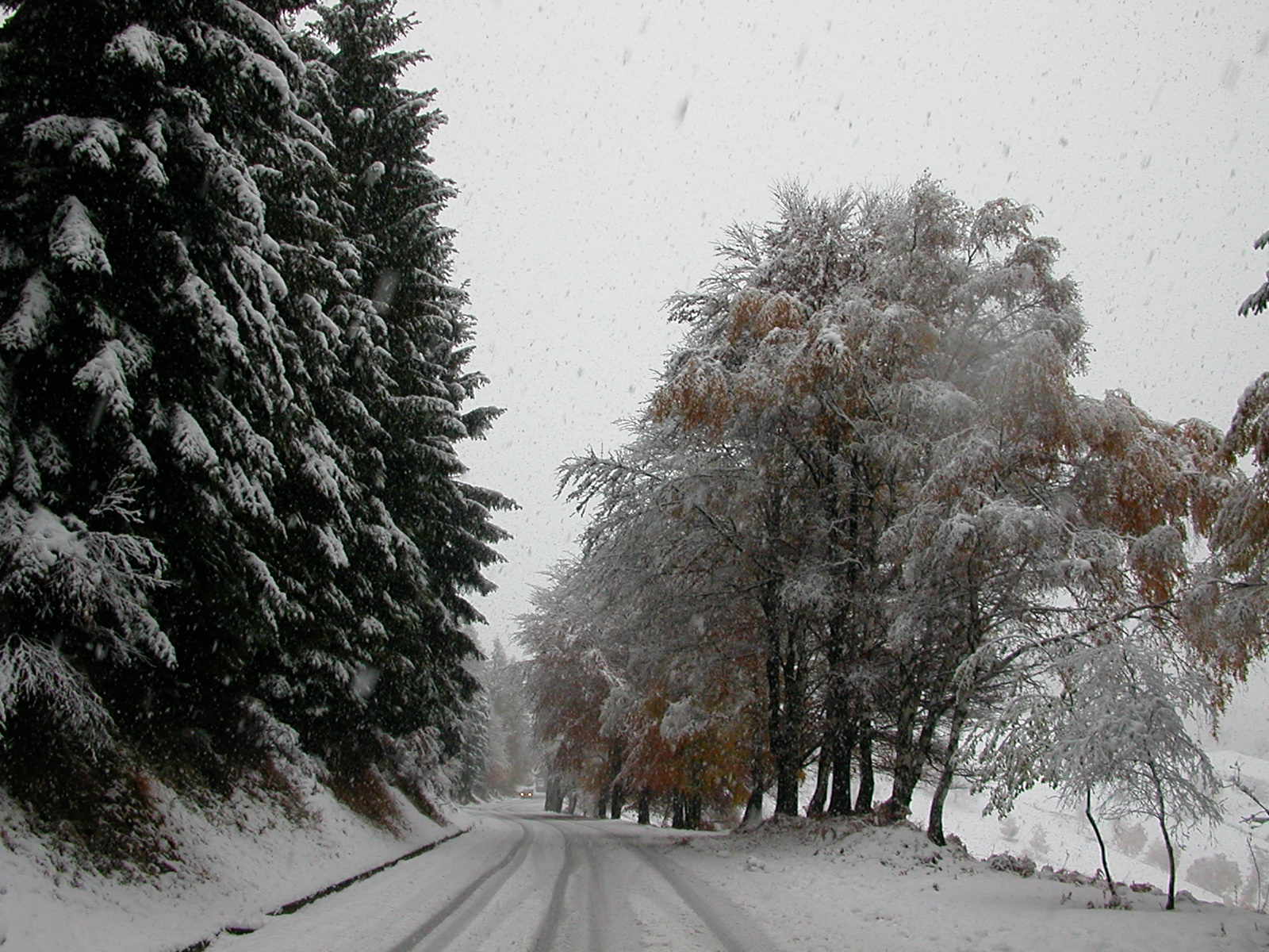 Meteo: fiocchi di NEVE a bassa quota nelle prossime ore