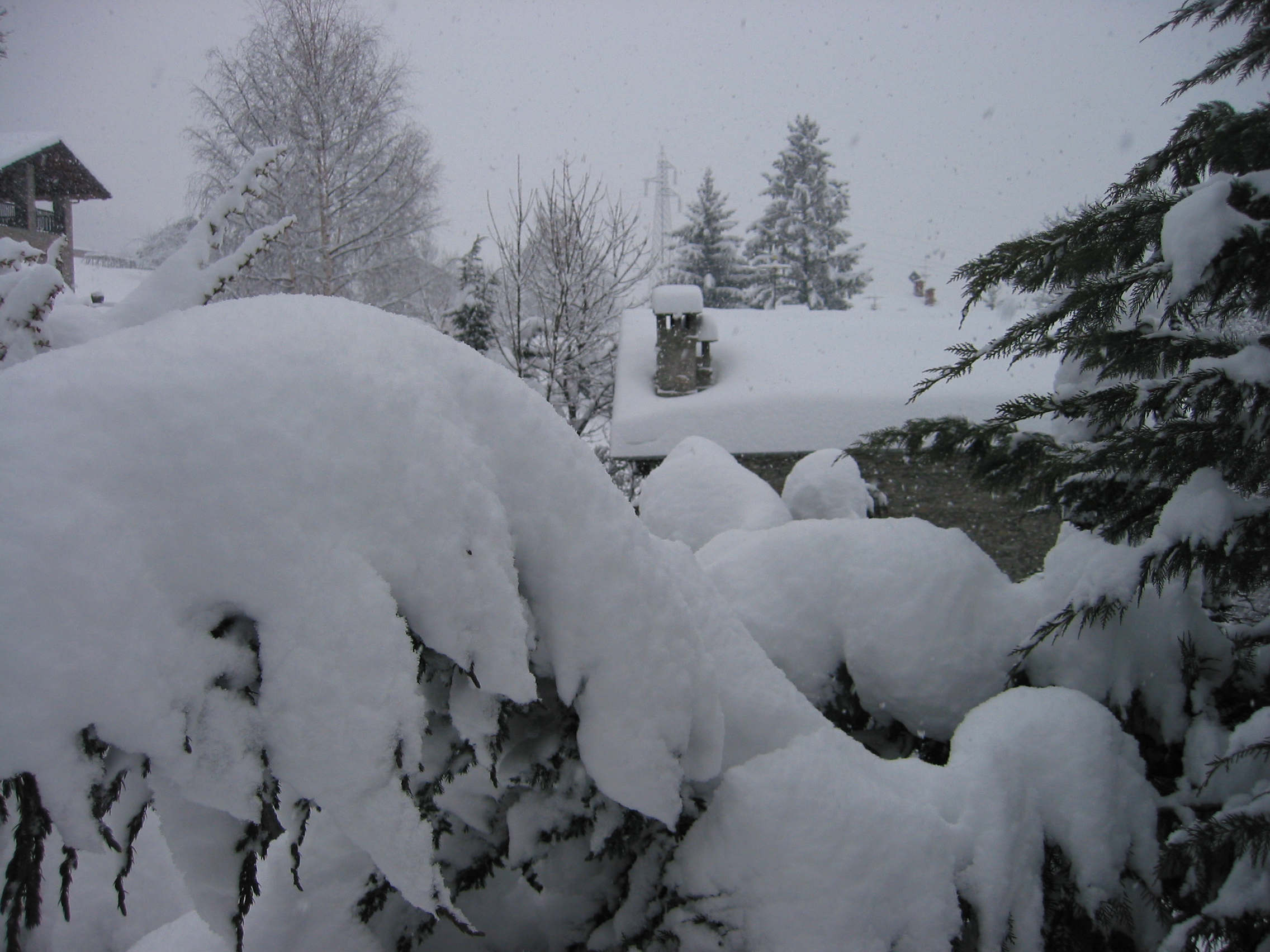 Nevicate in atto su Alpi e Prealpi del nord-ovest, oltre i 400-1.000m: le webcam Nevicate in atto su Alpi e Prealpi del nord-ovest, oltre i 400-1.000m: le webcam