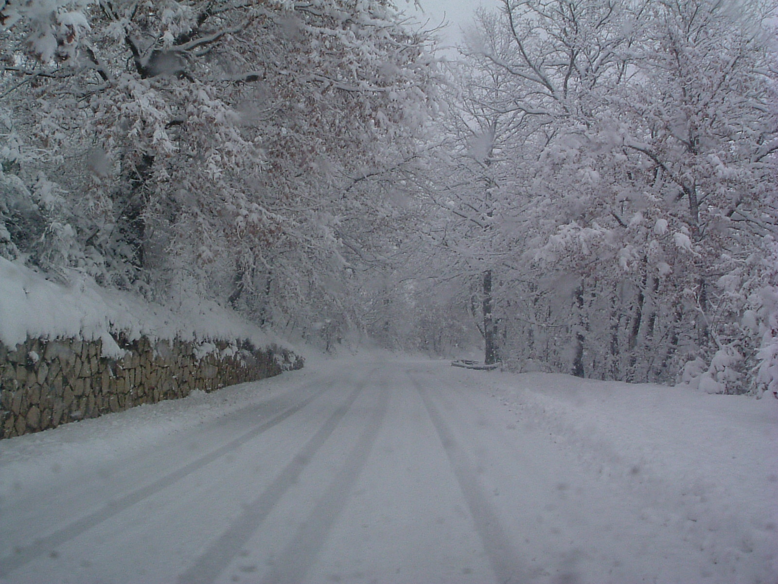 Meteo 15 giorni: l’INVERNO potrebbe calare l’asso dopo il 20 febbraio, tuttavia… Meteo 15 giorni: l’INVERNO potrebbe calare l’asso dopo il 20 febbraio, tuttavia…
