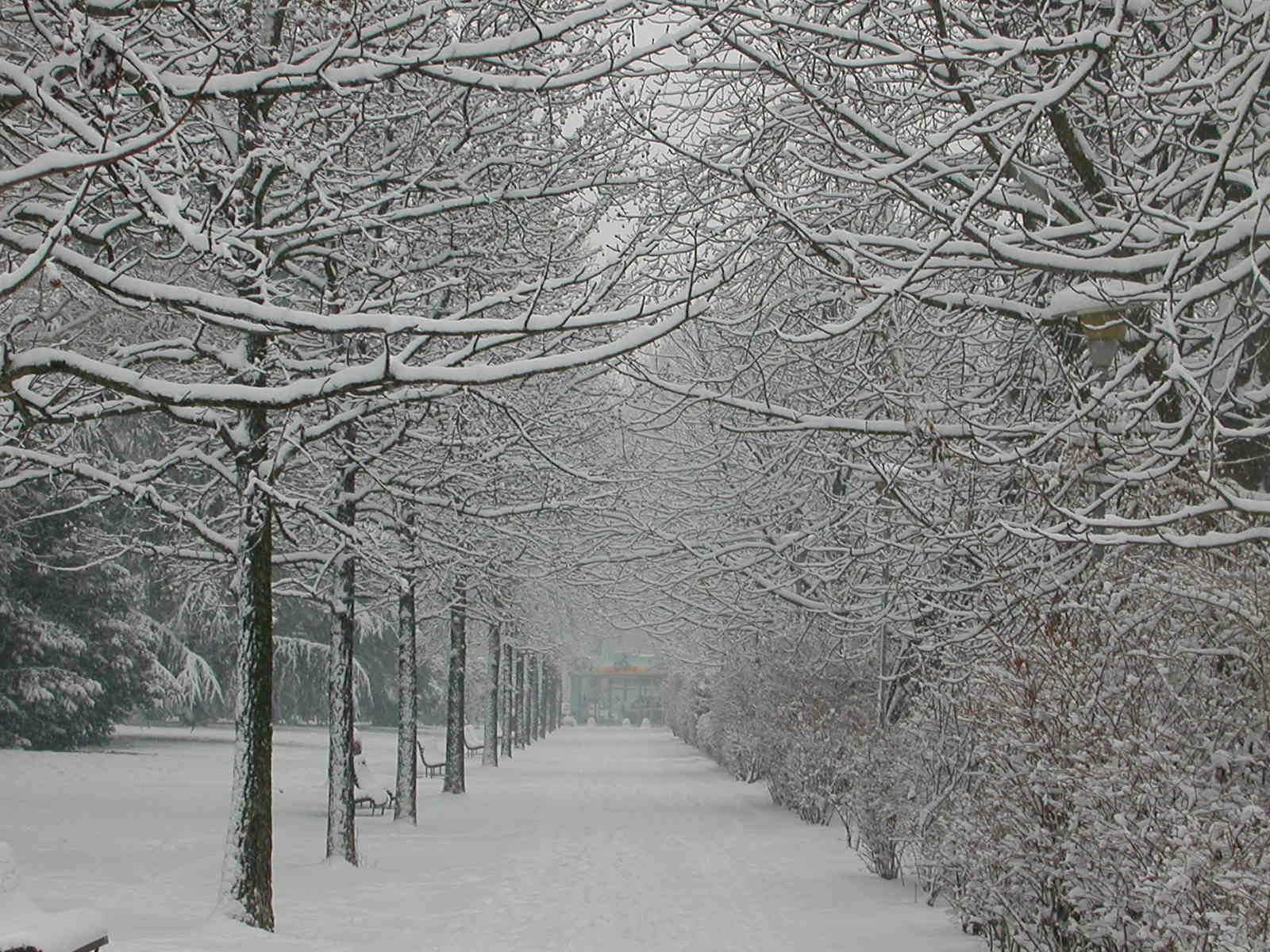 SVOLTA dopo il 20 febbraio: l’INVERNO si risveglierà? Vi mostriamo l’ipotesi più probabile SVOLTA dopo il 20 febbraio: l’INVERNO si risveglierà? Vi mostriamo l’ipotesi più probabile
