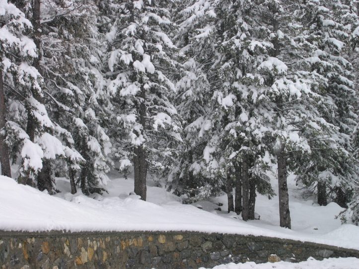 Nevicata