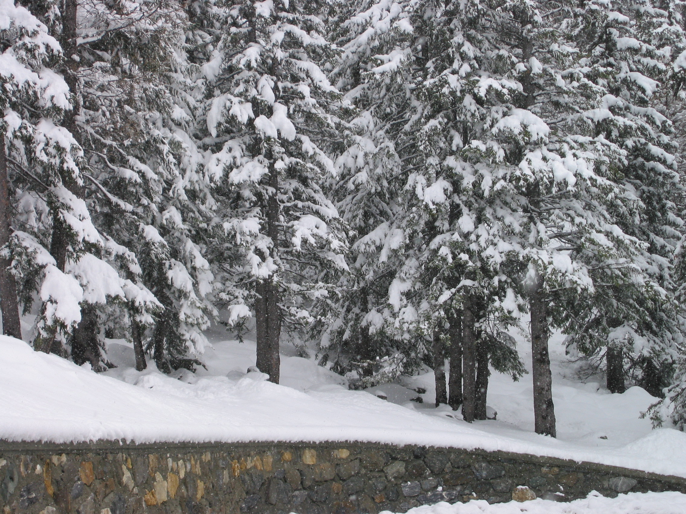 Nevicata