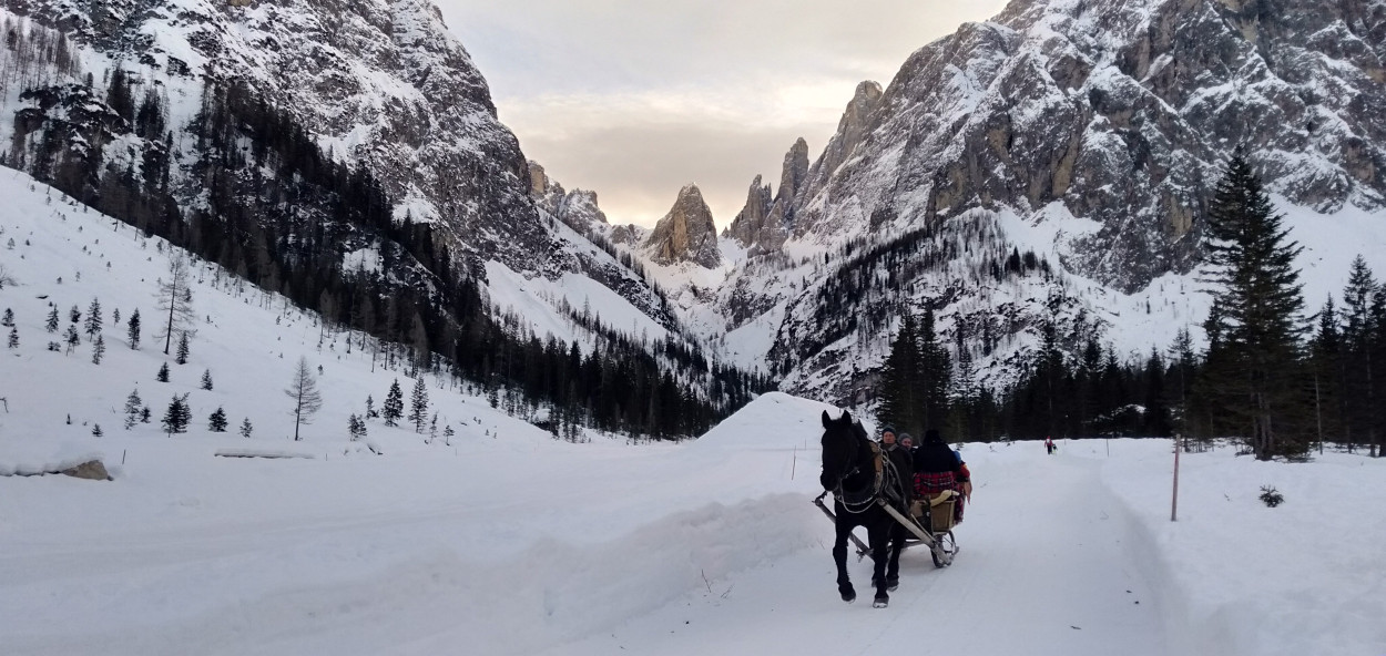 A febbraio cova il riscatto dell’inverno: ecco quando e come A febbraio cova il riscatto dell’inverno: ecco quando e come