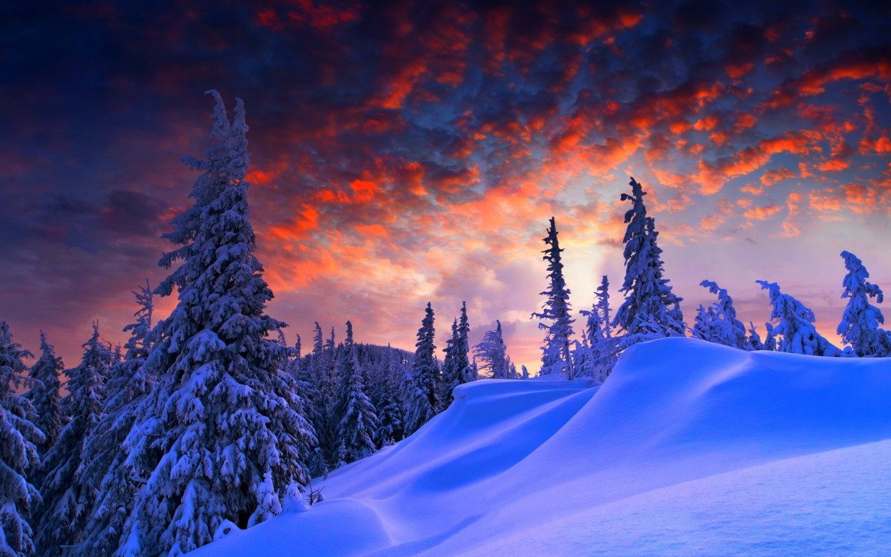 INVERNO spicciati: il tempo stringe! Ce la farà? INVERNO spicciati: il tempo stringe! Ce la farà?