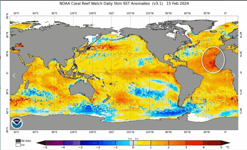 Anomalie oceaniche SPROPOSITATE in prossimità dell’Africa nord-occidentale! Anomalie oceaniche SPROPOSITATE in prossimità dell’Africa nord-occidentale!