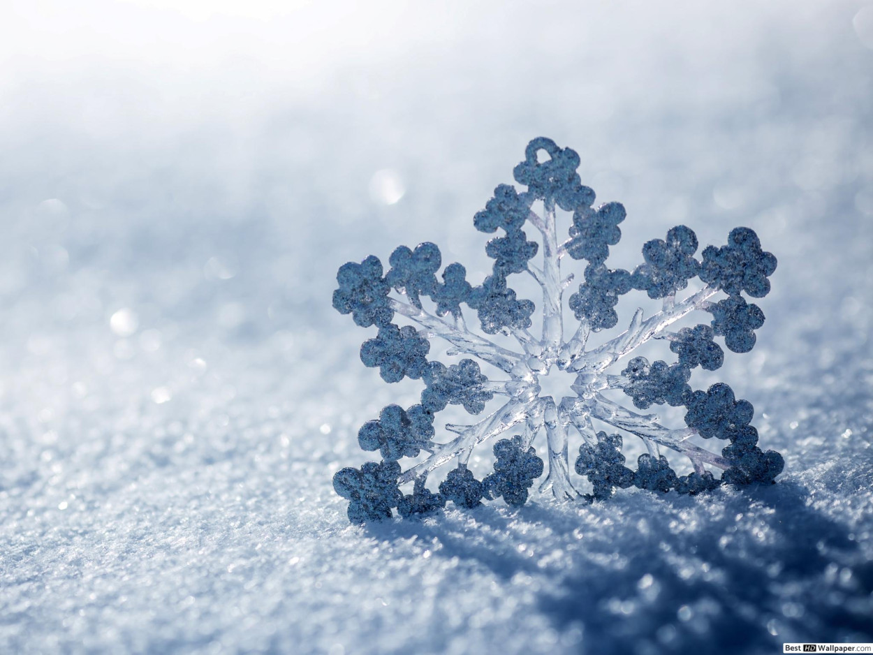 Venerdì 7 neve oltre i 1800-2000 metri su questi settori