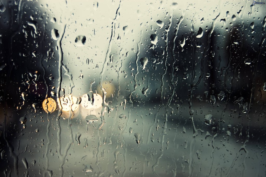 Meteo 7 giorni: febbraio cede l’ombrello a marzo Meteo 7 giorni: febbraio cede l’ombrello a marzo