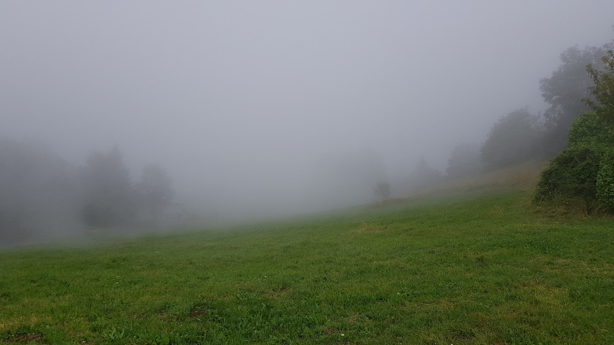 NEBBIA: lunedi 8 dicembre ATTENZIONE a questi settori