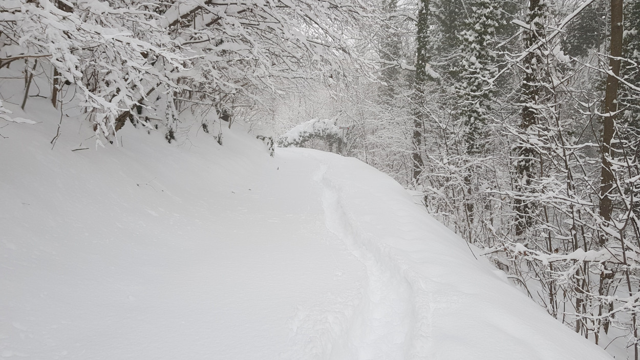 Tutte le NEVICATE di sabato e domenica: le regioni coinvolte ed i centimetri previsti