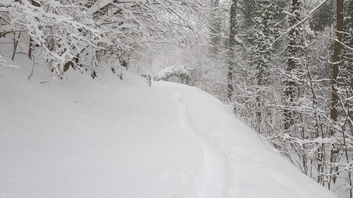 Tutte le NEVICATE di sabato e domenica: le regioni coinvolte ed i centimetri previsti