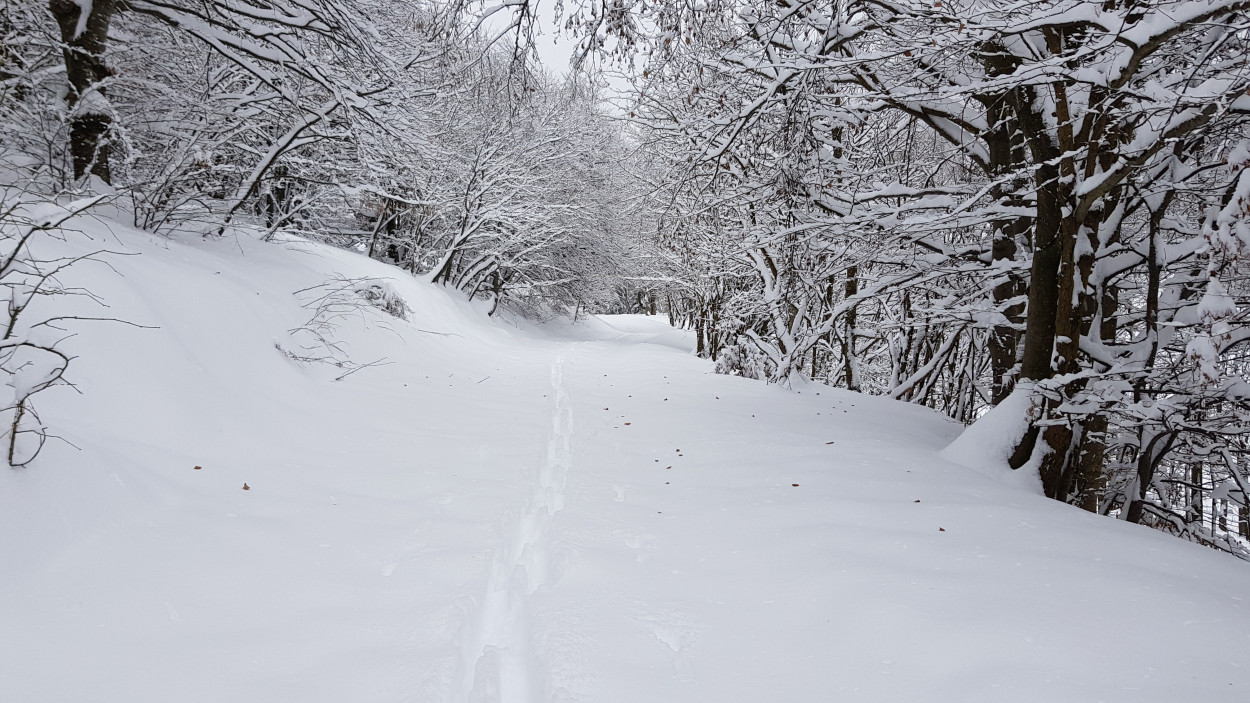 Neve a bassa quota su alcune zone dalla serata di martedì 27 Neve a bassa quota su alcune zone dalla serata di martedì 27