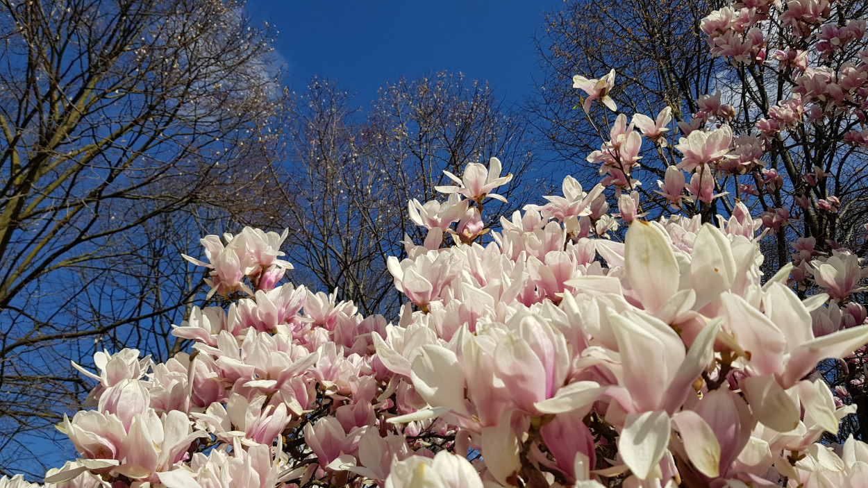 Meteo 15 giorni: fine del caldo anomalo e la primavera tornerà a sorridere Meteo 15 giorni: fine del caldo anomalo e la primavera tornerà a sorridere