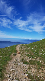 sole e caldo
