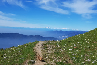 sole e caldo