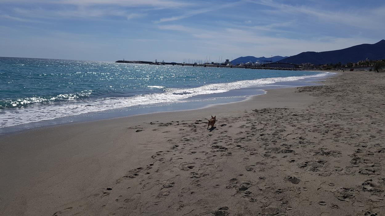 Porte aperte al BEL TEMPO ed al CALDO ai primi di giugno Porte aperte al BEL TEMPO ed al CALDO ai primi di giugno