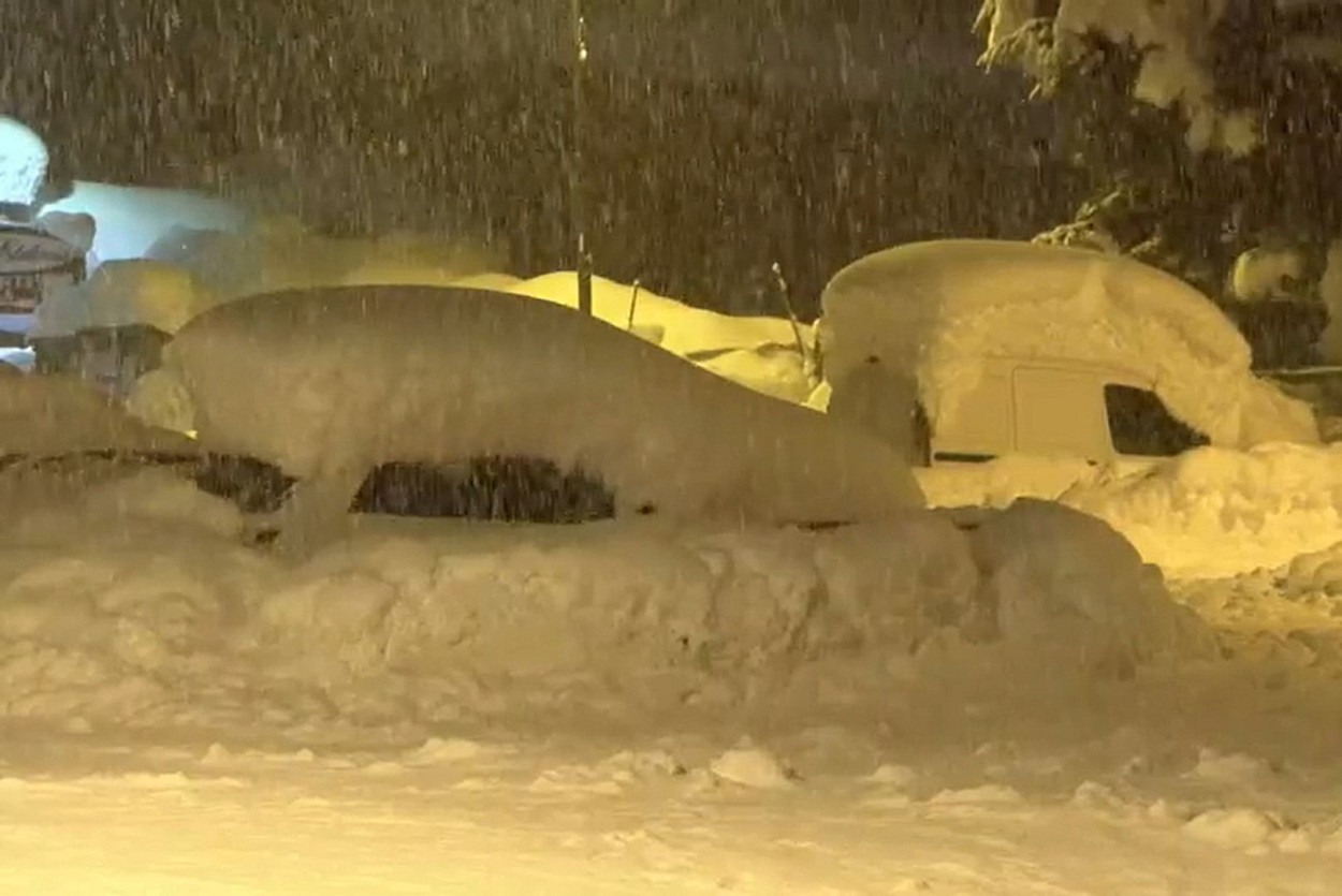 Il FREDDO e la NEVE per TUTTI Il FREDDO e la NEVE per TUTTI