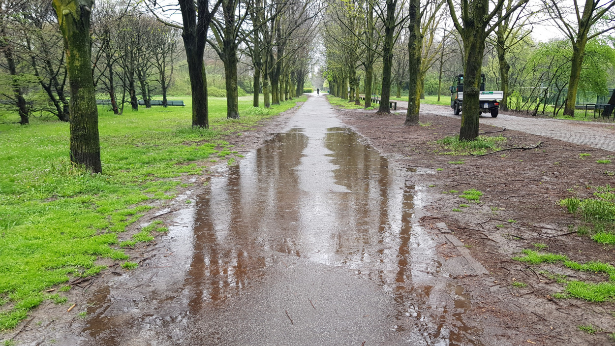 180mm di pioggia nei prossimi 10 giorni su questi settori