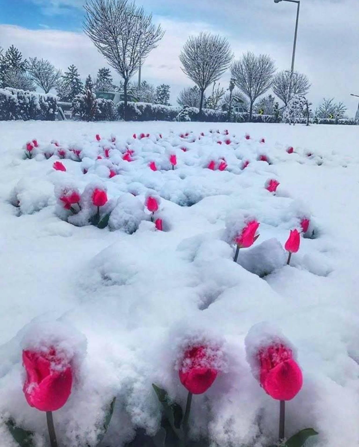 NEVE in pianura di primavera: arriverà? NEVE in pianura di primavera: arriverà?
