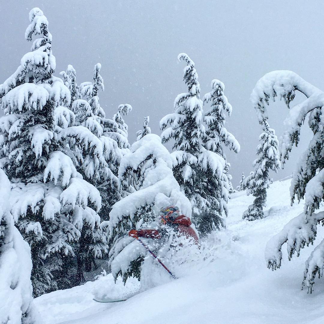 INTENSA perturbazione in transito tra stanotte e domenica pomeriggio: quanta NEVE sulle Alpi! INTENSA perturbazione in transito tra stanotte e domenica pomeriggio: quanta NEVE sulle Alpi!