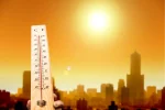 Caldo