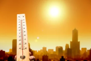 Caldo