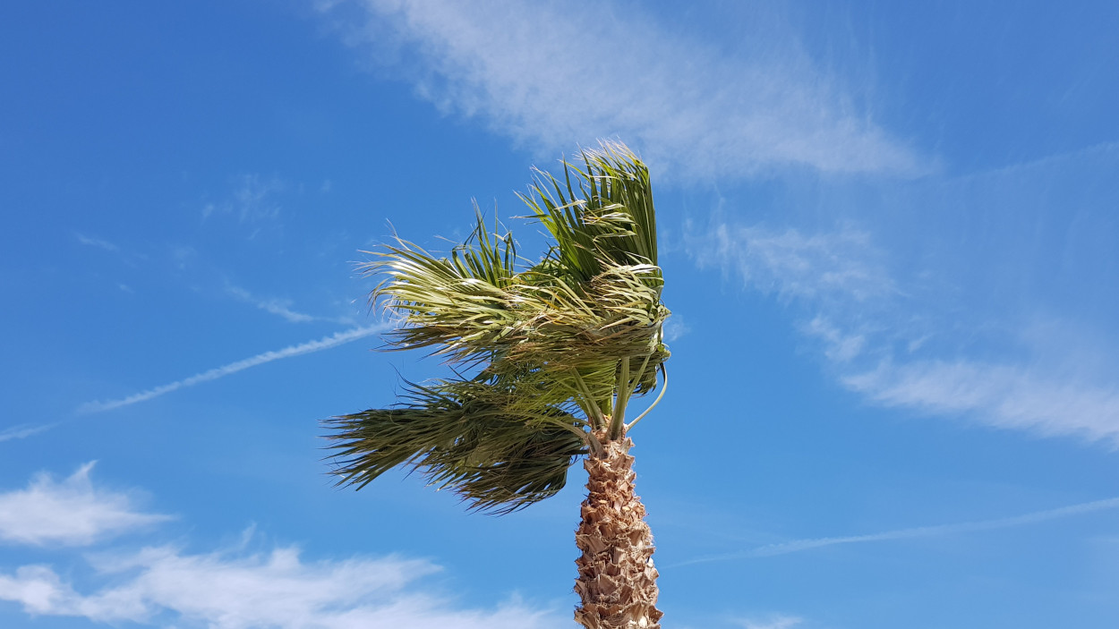 VENTO FORTE al meridione per tutta la giornata di venerdi 30…e domani? VENTO FORTE al meridione per tutta la giornata di venerdi 30…e domani?