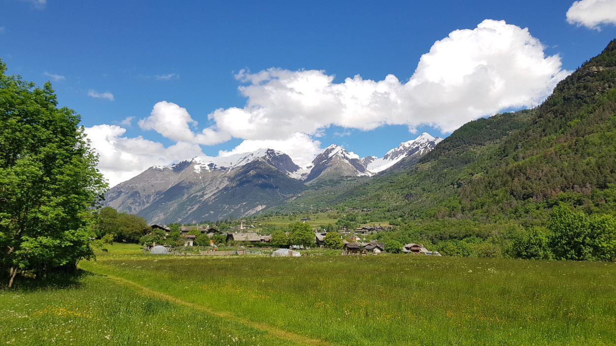PRIMAVERA e MITEZZA dopo metà mese: le ULTIMISSIME PRIMAVERA e MITEZZA dopo metà mese: le ULTIMISSIME