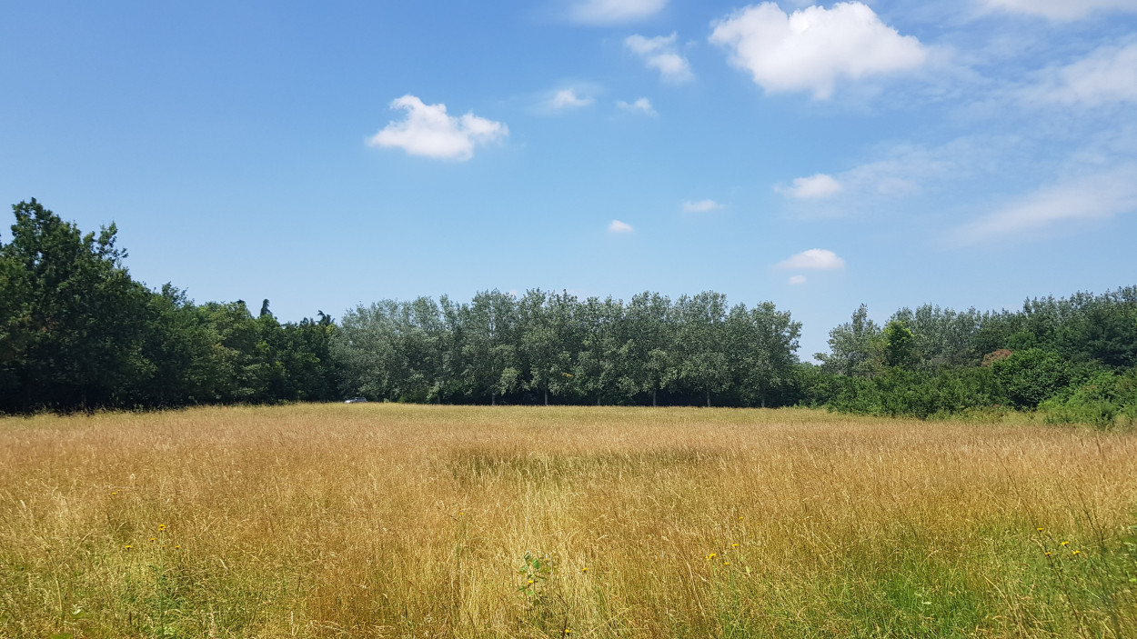 Primo maggio con il SOLE, tranne…