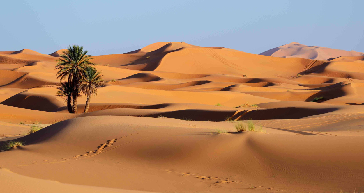 L’AFRICA in giardino: molta SABBIA e 40° a portata di mano su alcune regioni