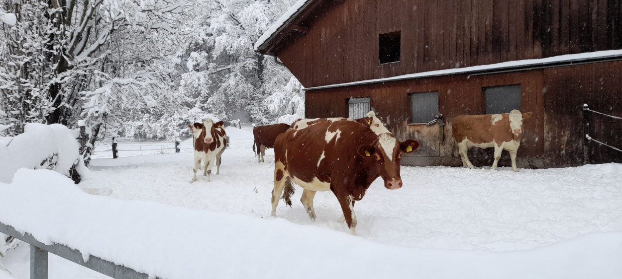 NEVE in arrivo: anche 1 metro sulla Vetta d’Italia
