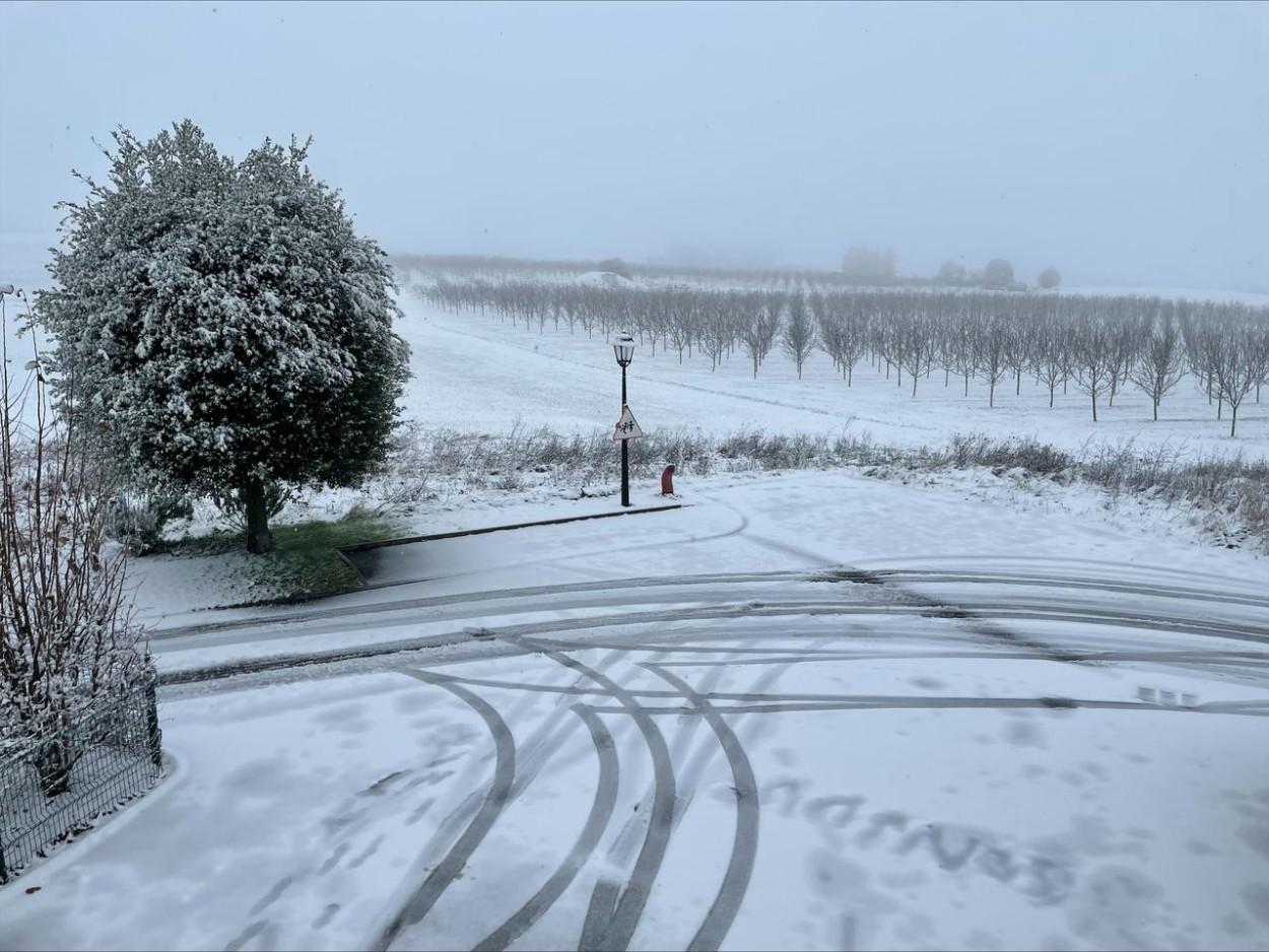 NEVE nel Novarese: evento raro a novembre (VIDEO) NEVE nel Novarese: evento raro a novembre (VIDEO)