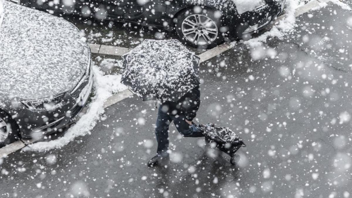 Rispunta la NEVE in pianura: ecco dove potrebbe cadere e quando Rispunta la NEVE in pianura: ecco dove potrebbe cadere e quando