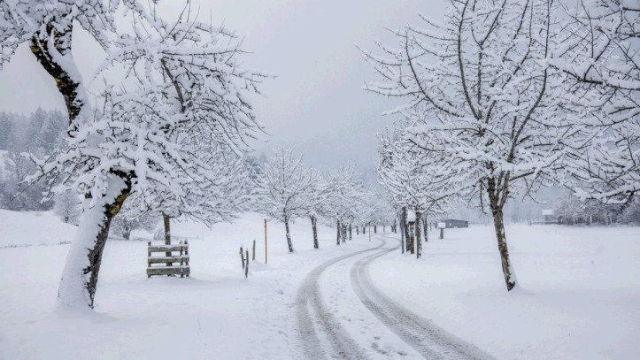 Torna la NEVE: ecco dove, con gli accumuli sino a sabato 25