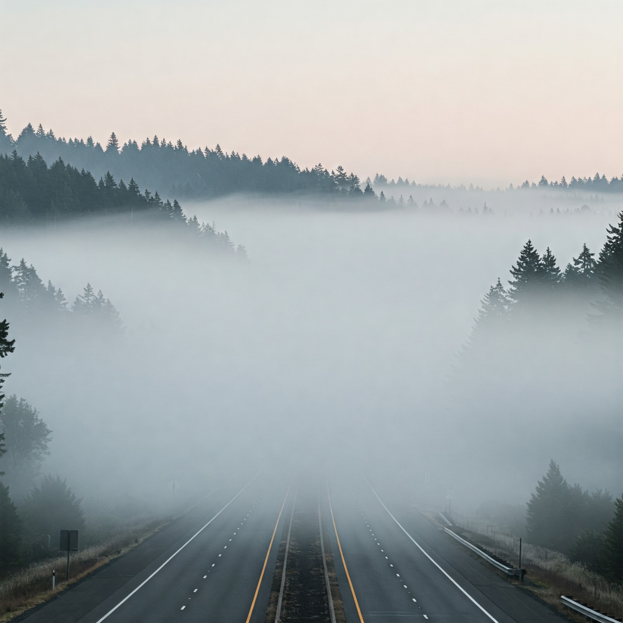 Guardate dove si annida la NEBBIA e il FREDDO