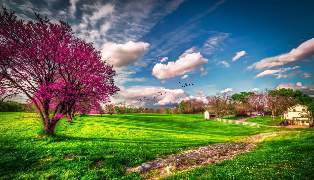 Esplode la PRIMAVERA: dal 4 marzo anticiclone alla riscossa, ecco le temperature Esplode la PRIMAVERA: dal 4 marzo anticiclone alla riscossa, ecco le temperature