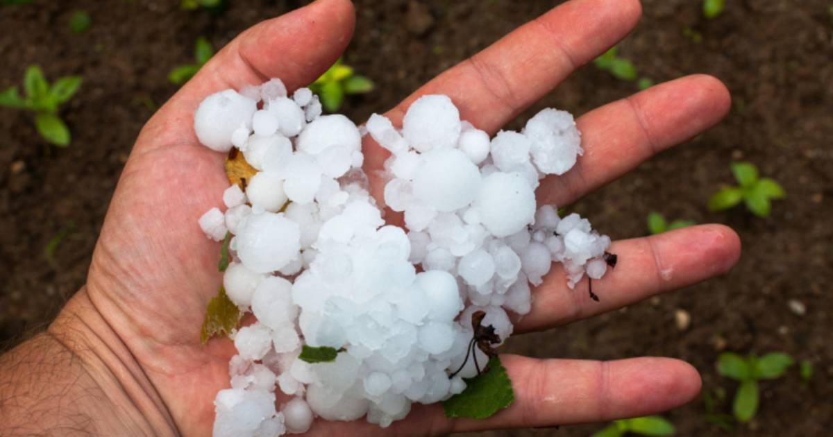 TEMPORALI e GRANDINE: 2 e 3 agosto a forte rischio, ecco dove TEMPORALI e GRANDINE: 2 e 3 agosto a forte rischio, ecco dove