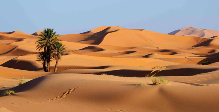 ANTICICLONE AFRICANO sino a Ferragosto, i picchi di caldo