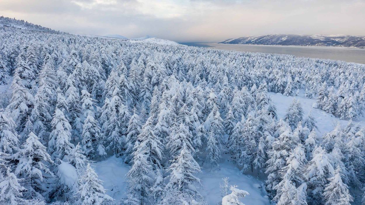 Inverno: primi segnali dopo il 10 dicembre