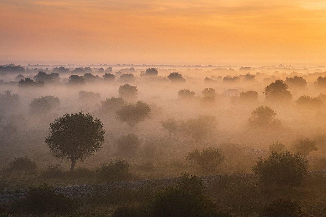 Nebbie e brume in agguato dal 6 al 10 dicembre: le aree coinvolte