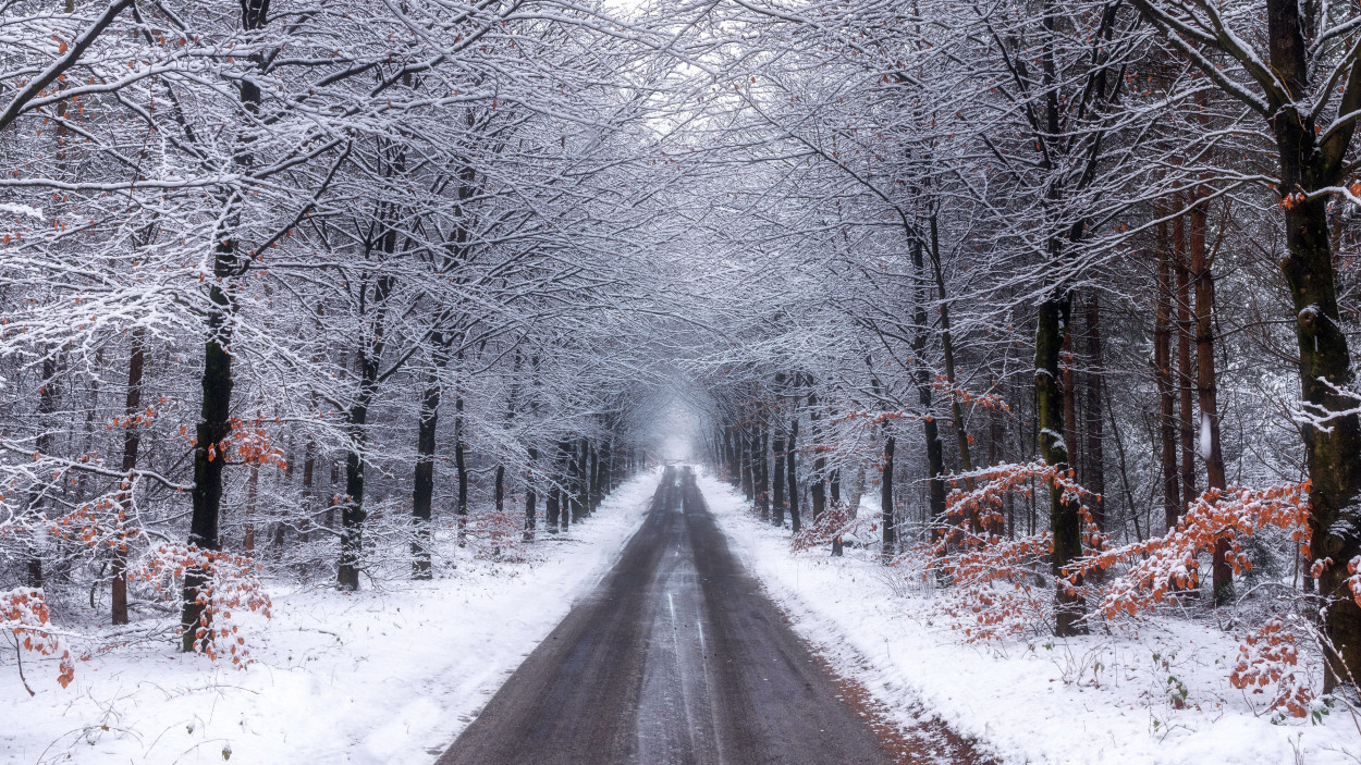 Meteo feste di Natale: i modelli insistono, c’è la NEVE a bassa quota