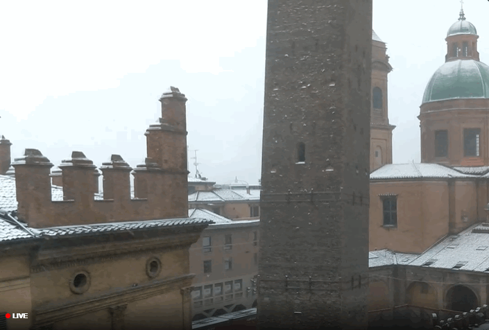 NEVICA anche a Bologna NEVICA anche a Bologna