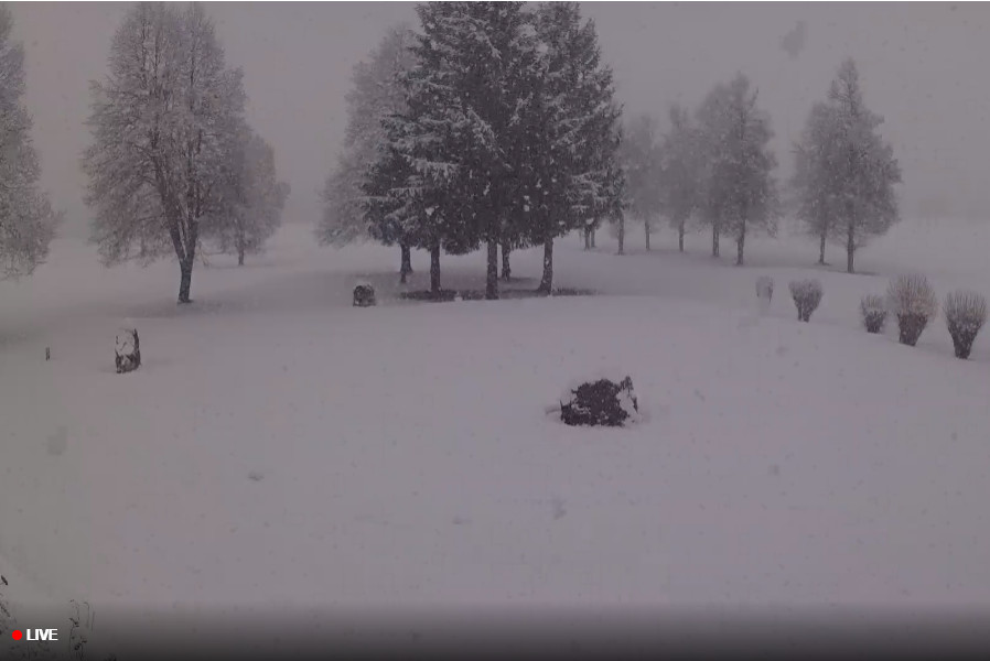Forte NEVICATA (in diretta) a Tarvisio Forte NEVICATA (in diretta) a Tarvisio