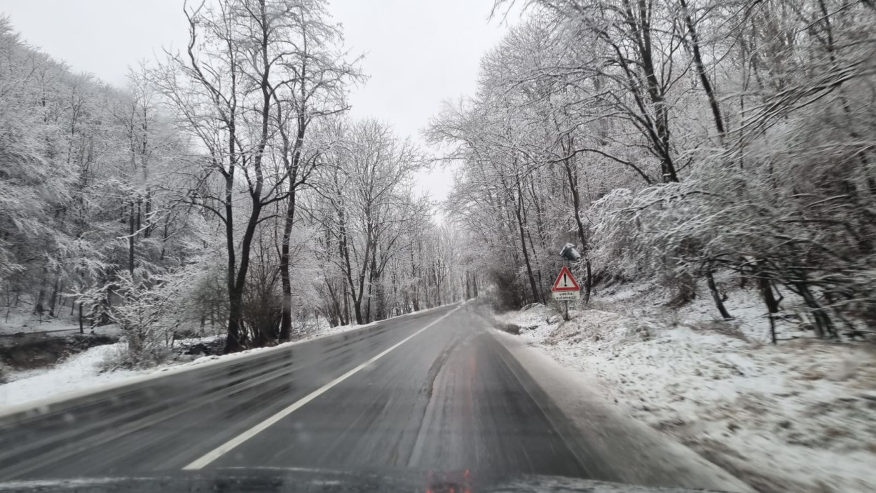 La NEVICATA del 3 febbraio nel Varesotto (video) La NEVICATA del 3 febbraio nel Varesotto (video)