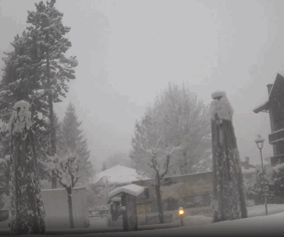 Stupenda NEVICATA in diretta a Courmayeur! Stupenda NEVICATA in diretta a Courmayeur!