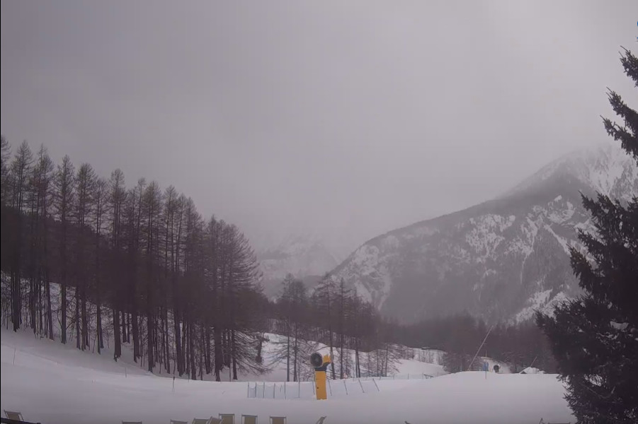 NEVICATE in lenta attenuazione sulle Alpi NEVICATE in lenta attenuazione sulle Alpi